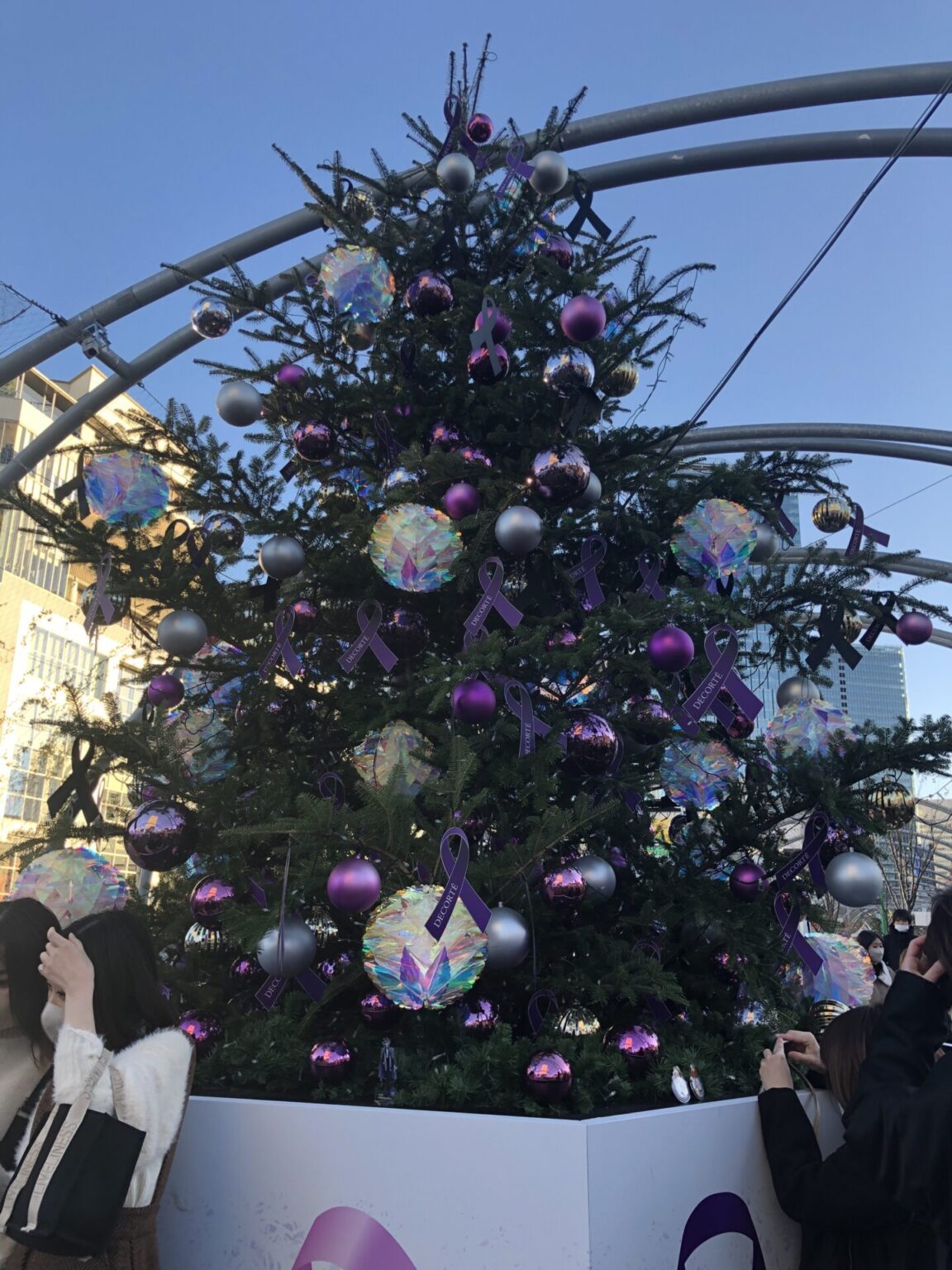 2022年のクリスマスツリーコレクション しえくるくる